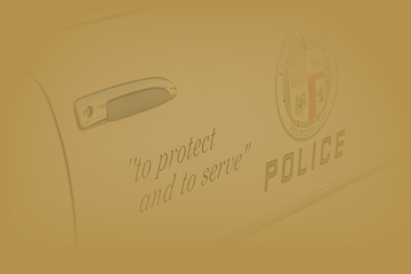 Working With Law Enforcement and the Courts