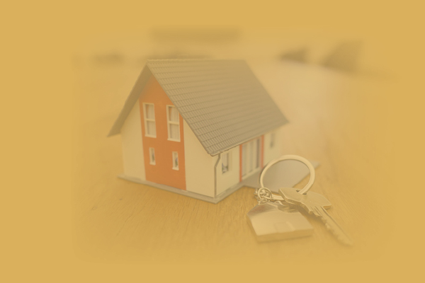 Property Selection