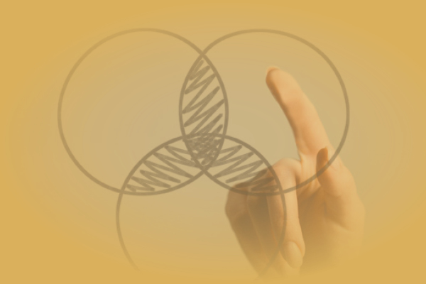 Triune Care Model