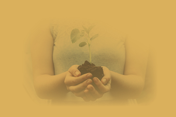 Cultivating In-Kind Support